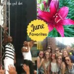 My June Favorites