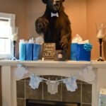 Blues and Bow Ties Baby Shower